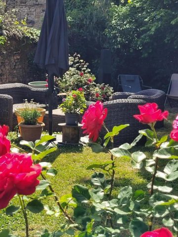 31G101753-ed1d951064ca4a058ff37cb5e317a192