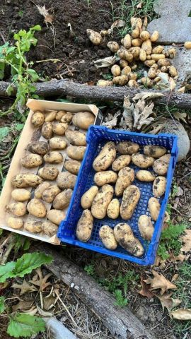 31G101753-f8c572cb246149939fce35dadcb51d8b