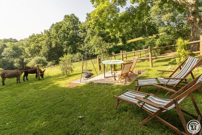 31G101765-7e63f47f9cf04085a3355c7114021841