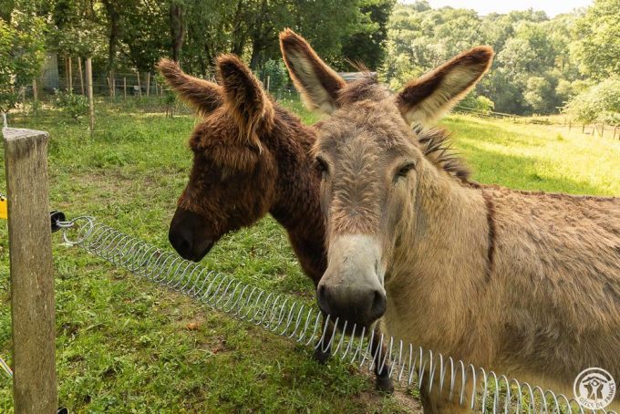 31G101765-e1a31a30dfa24efcaeb8357b67684929