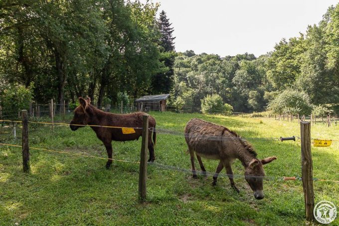 31G101765-e24f99553f6741e3b7b8605359730150