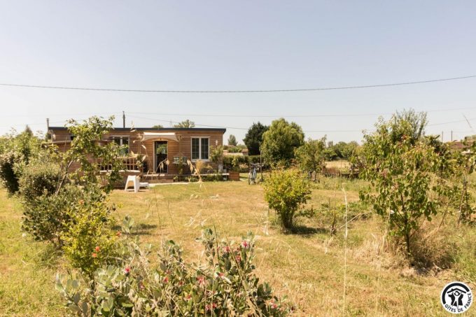 31G101769-86f429f3f82d4e59a21f9f5ee2a6767f