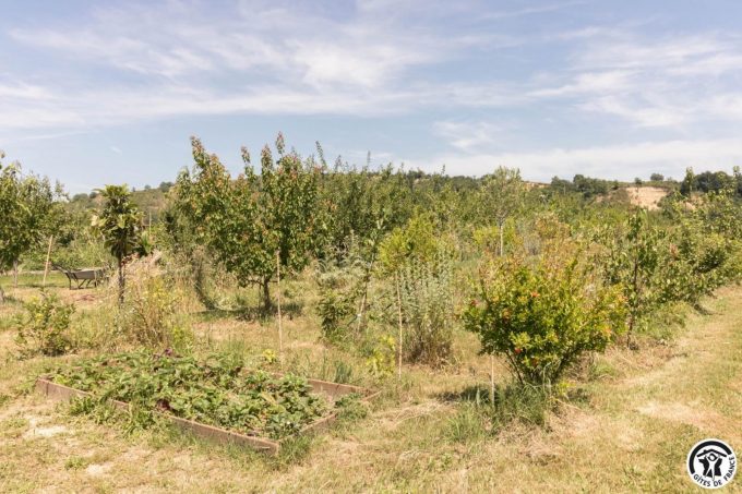 31G101769-c4b0374dbf844436ad1aede5cc87ac80