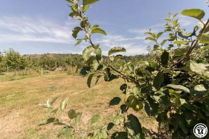 31G101769-cb148abb61fe479a81d4eb149efdc49d