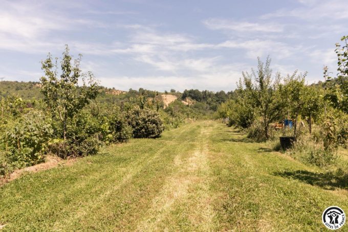 31G101769-d1f4a4e4b31a49f5a6a5a7d437b40e08