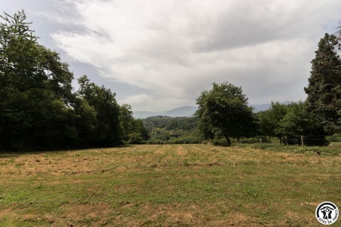 31G101770-0f8c59a227ac41738e0b7586cfe54efc