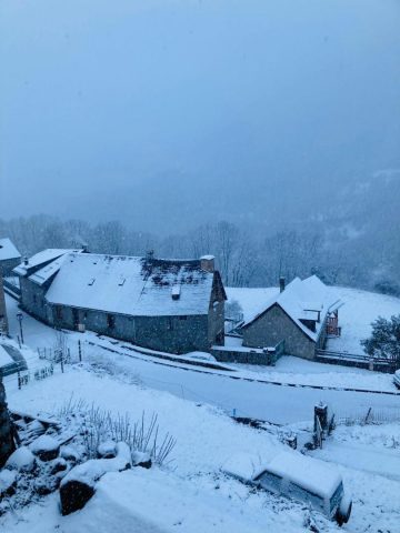 31G101777-14194a4b73f2469389cdba8ef096367e