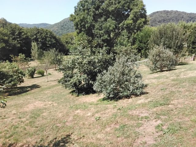 31G101780-213f92d4b9f84042a3d82085b4902607