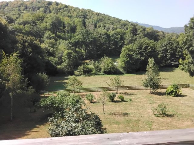 31G101780-7781db0c31bd4011b69aed5fde82e87a