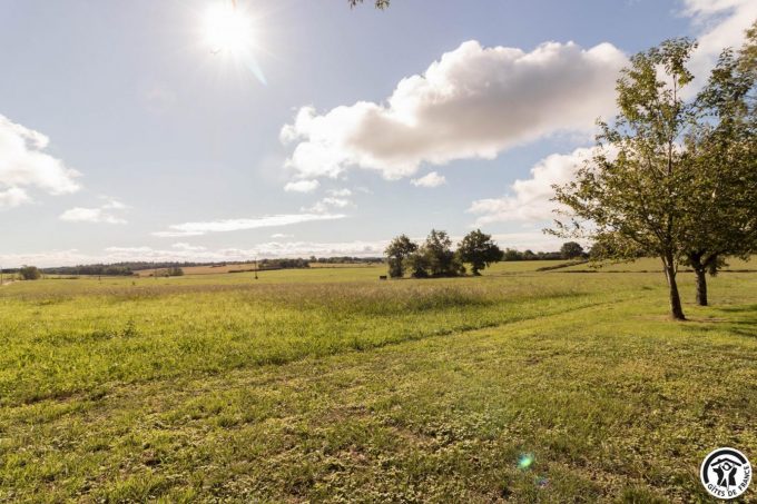 31G101785-2c80de4a49174db78ceebf4436366a63