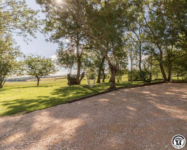 31G101785-69e56fd640d2438aac8852670a3a41b4