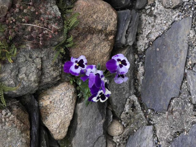 31G114002-300c23c0eab7438e8671cc8a2711f8ba