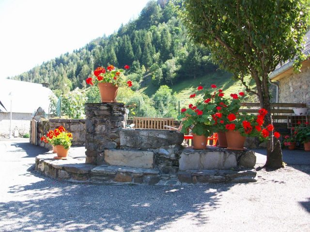 31G114002-c80991323b1a49b6860eb6a0f9cc0e4f