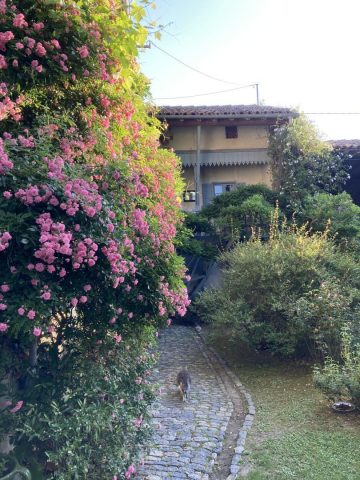 31G300038-0ce194d8e16b497190c462580c6b1956