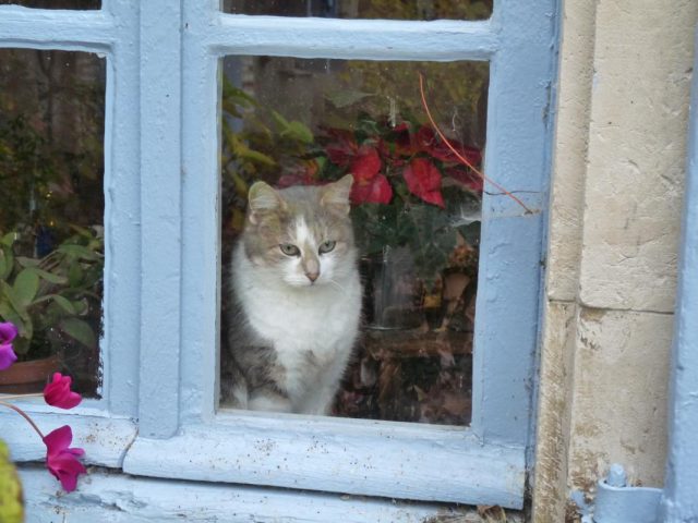 31G300038-502c3052c807445d82aa3db0bb548609