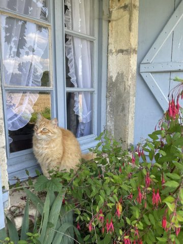 31G300038-6f17f7dbf63c43109f42449822bb73e2