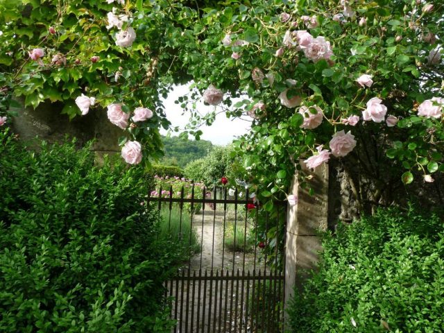 31G300038-8e40b5ea3a5c4d49a18e7241c1a0569d