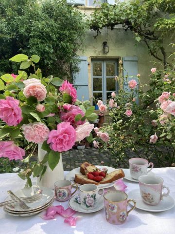 31G300038-bc77137386d4452ba6a9a55eccaeed92