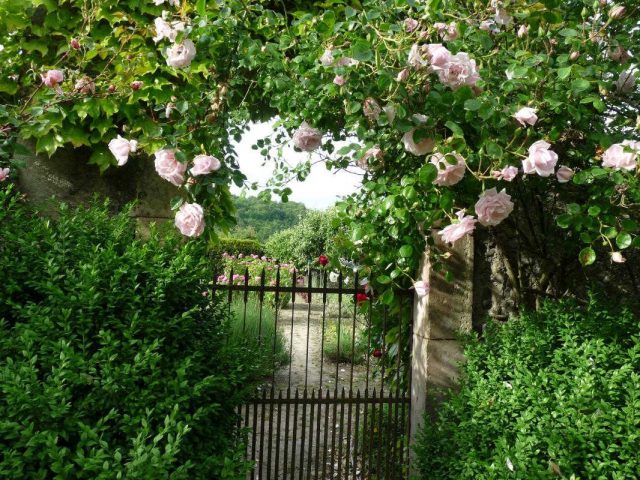 31G300038-d4f0a0f02698489bb84d8262d6ef4dea