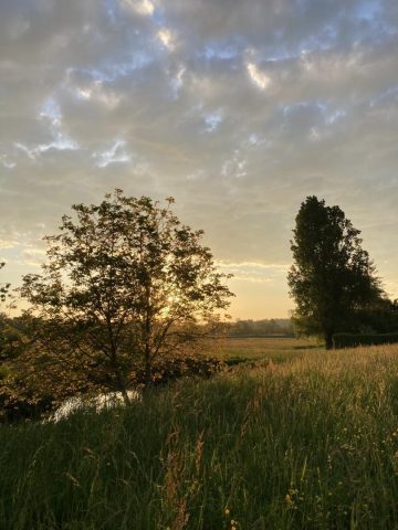 31G300038-de254a50cb5943358189bb0f95247d23