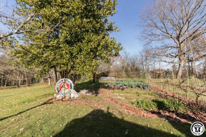 31G300062-0eac1bea91ca4a80bf2528e102a442b8