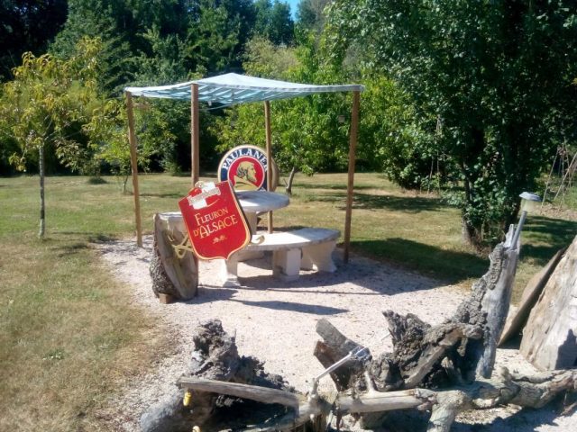 31G300062-9d1ec8776cc7459d92458419411b4d30