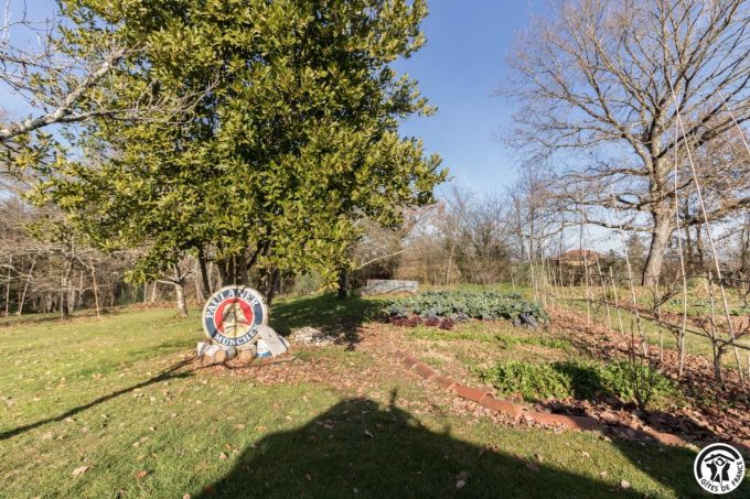 31G300062-c591ba3ba8764d59834d2ef6e04d7664