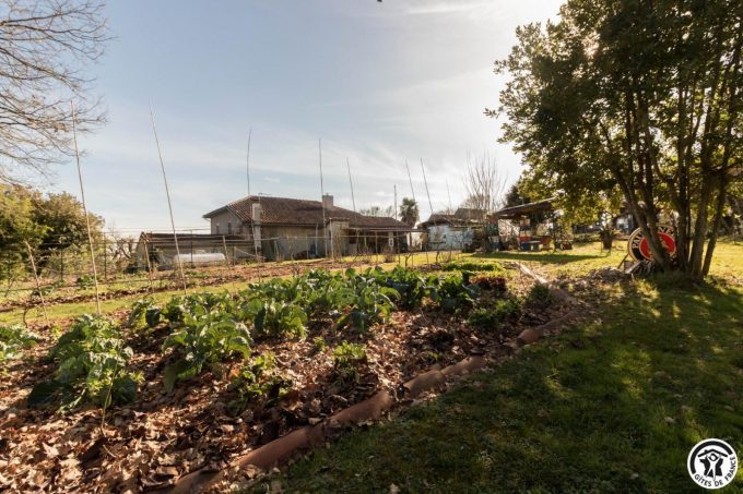 31G300062-c7a8325df4a34b8c991e45d6911f820f