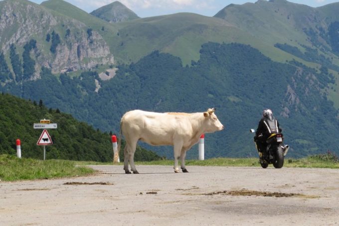 31G300454-7a072b9a37914ddfb7f81e3eb49d1fde