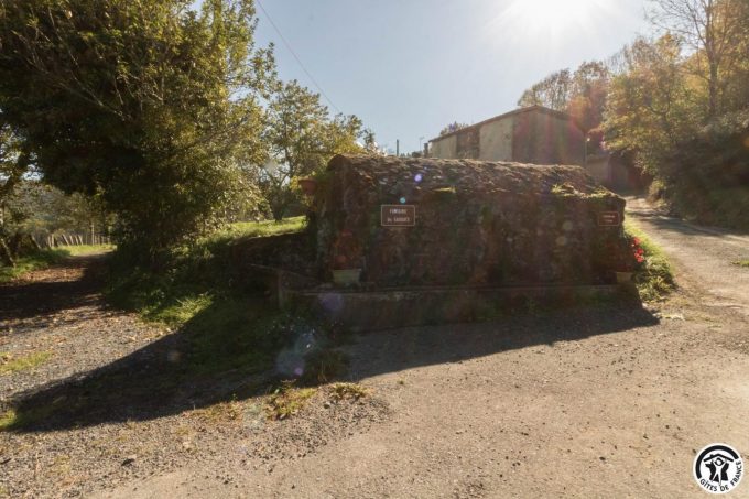 31G301028-da2959df21fa4bd897d71ae0362e4c80