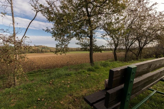 31G301198-614dd9ebe1fa4effb3bacc9b1b1971ed