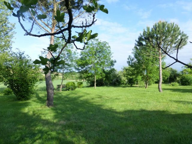 31G301198-64ffc5ec36fc4b1ca764fff64475a9a3