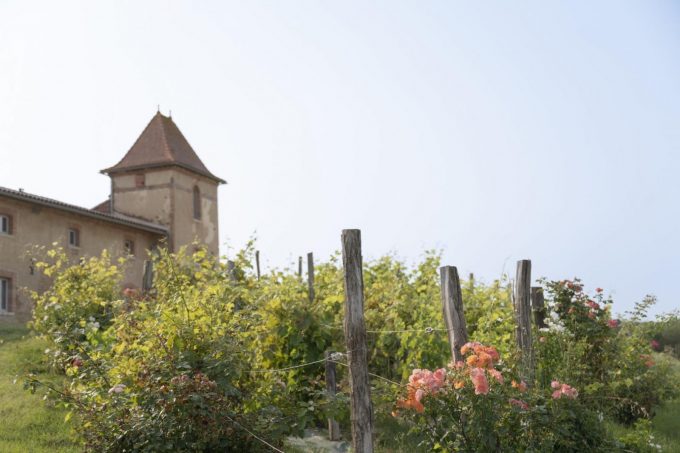 31G301623-536719155e2442e6aa72e1cee6b98daa