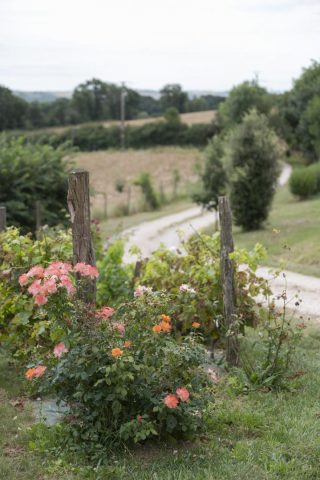 31G301623-8340123f052f428ea4aaaf5db72ebdea