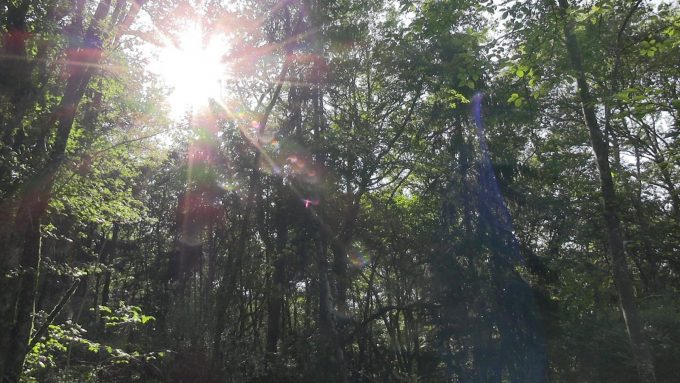 31G301726-3b551f9f8e964c1e9b3df93c4e7049f2