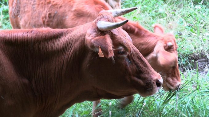 31G301726-760af497098c4926aadffac221bb924e