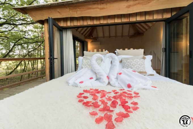 31G301727-70b65ff22a704400ab819d070d1f9879