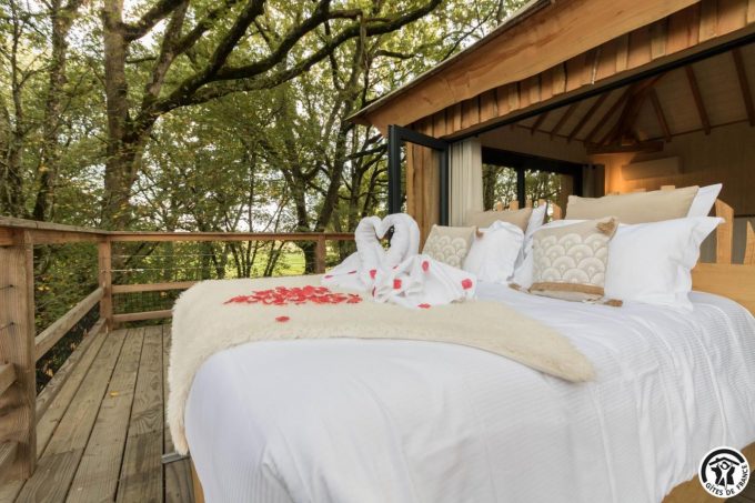 31G301727-87084b7d250f40b5ae4995dce3ce23f1