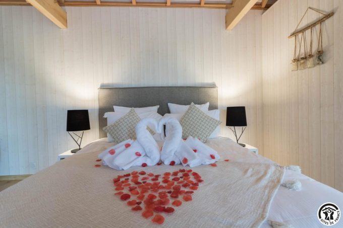 31G301727-9eb6024138dc416c8be89dd545a50d27