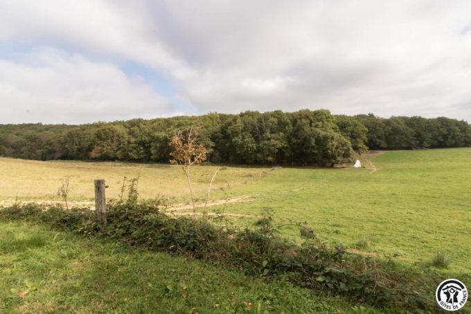 31G400541-05cfcb82cf214ffb965536132ade6cfe