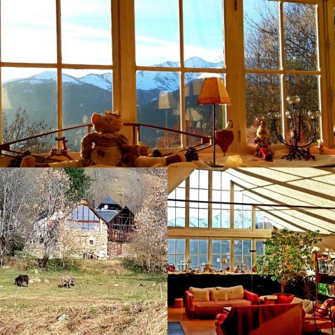 31G400647-5c58bdc3c0e443f3b590d44fccf1367a