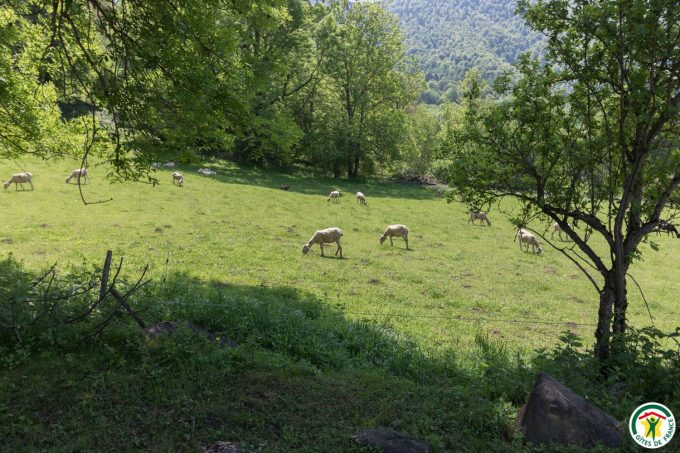 31G400762-0172de99291249a492670d910ec1543a