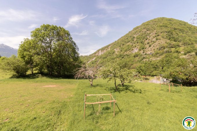 31G400762-5f69467be89b4cb89c7be3f9a91a93a5