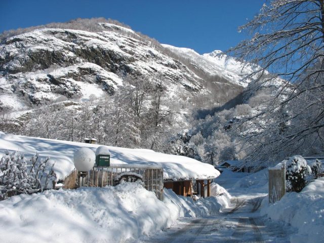 31G400939-773537e08bbc4a348ec6ee0b9680a8d6