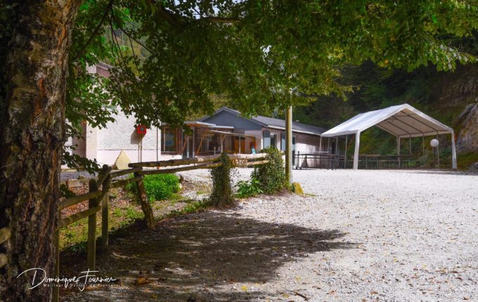 31G400939-a9959ca9599349559f3415e0a00c11a9