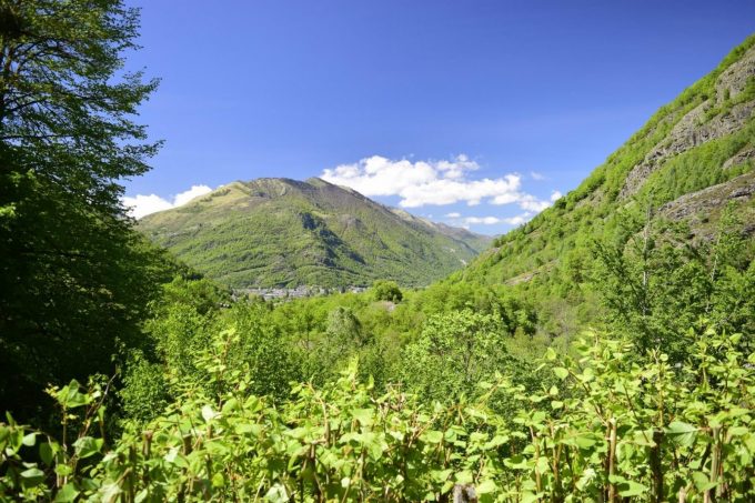 31G400939-cc7f89405e2048b7a26df207e4c02dc1