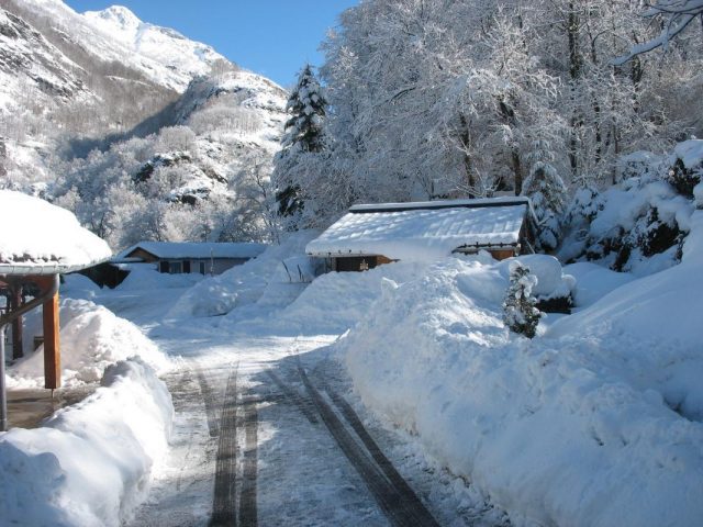 31G400939-d905ba4ac30c4f59beb13289b98a1e26