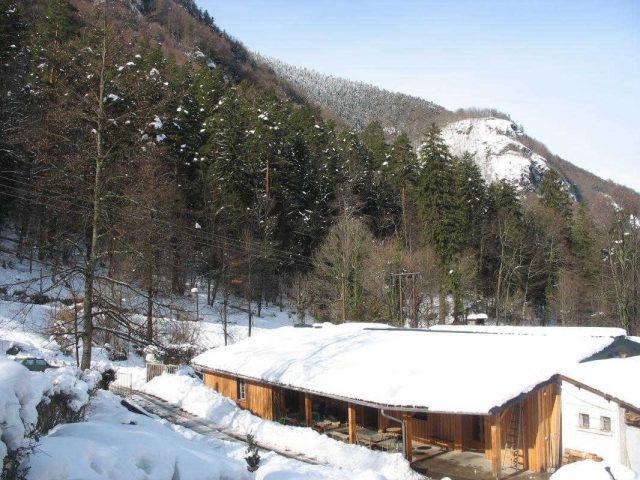 31G400939-ff165ce2b9914e25add359ad1cb35bae