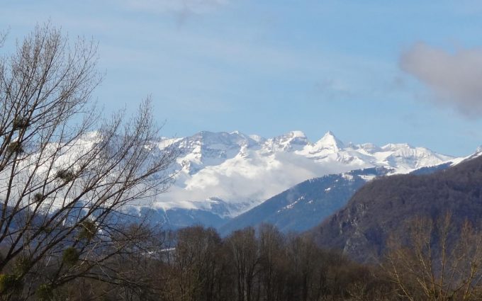 31G401200-3a4cb46358d74534a41beb42566617b9