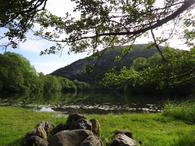 31G401200-442bf9608aa743f3b84477e3b7afbb65